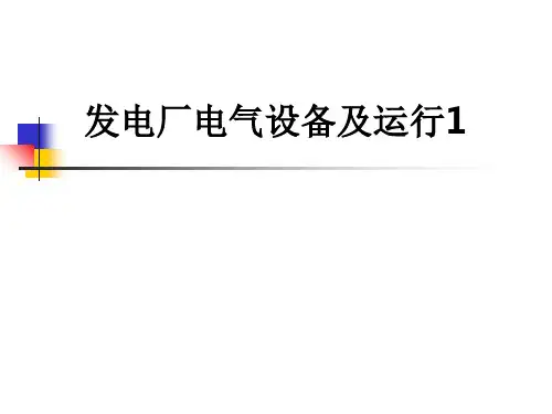 发电厂电气设备及运行1PPT课件