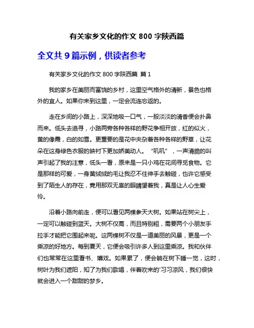 有关家乡文化的作文800字陕西篇