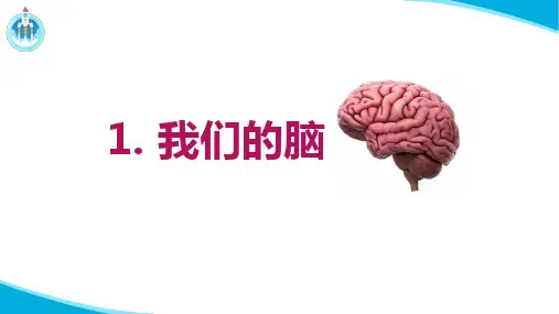 青岛版五年级下册科学1我们的脑课件