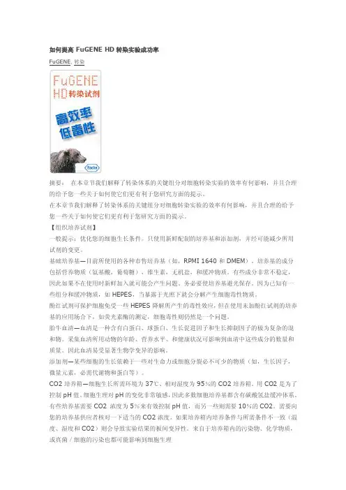 杆状病毒滴度检测