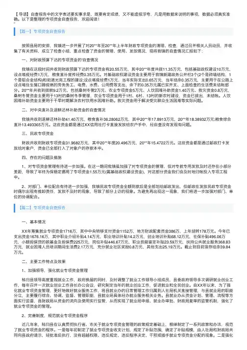 专项资金自查报告【五篇】