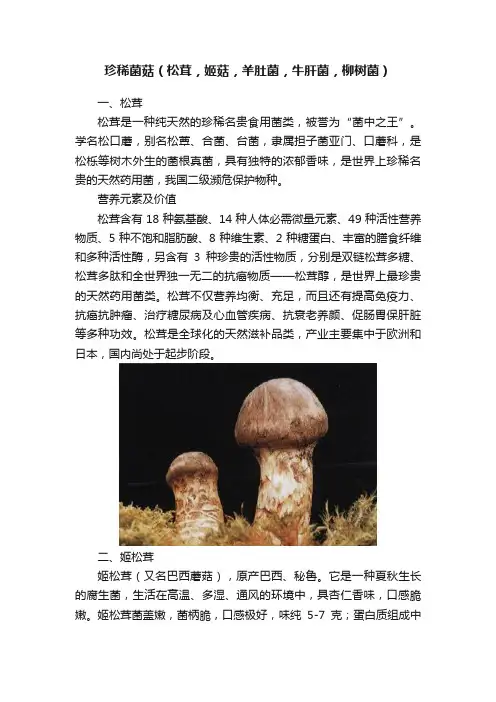 珍稀菌菇（松茸，姬菇，羊肚菌，牛肝菌，柳树菌）