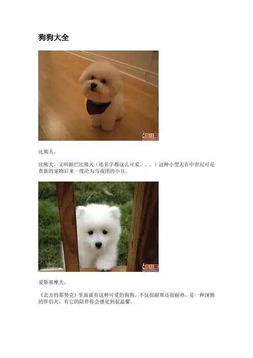 世界名狗大全