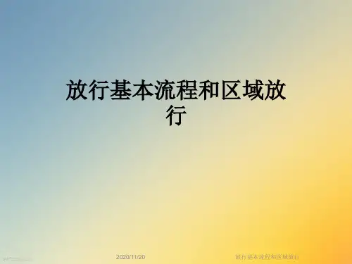 放行基本流程和区域放行