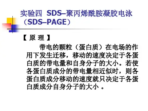 动物医学 生化实验《实验四  SDS–聚丙烯酰胺凝胶电泳(SDS–PAGE)》课件
