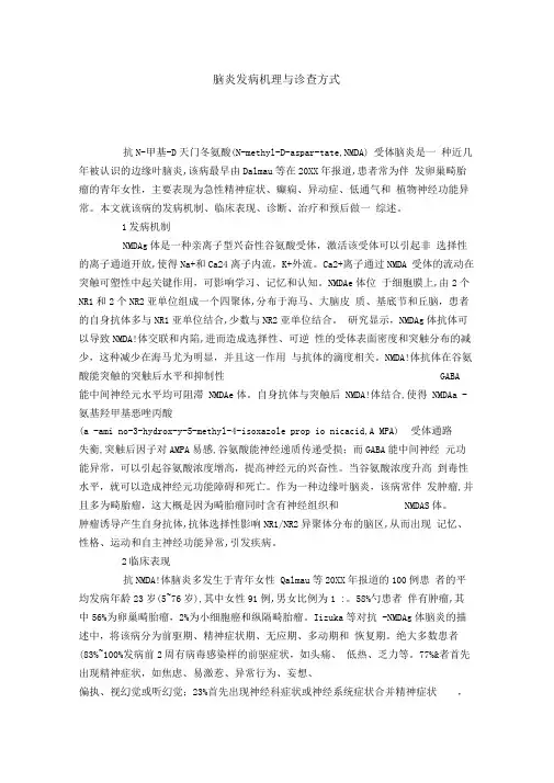 脑炎发病机理与诊查方式
