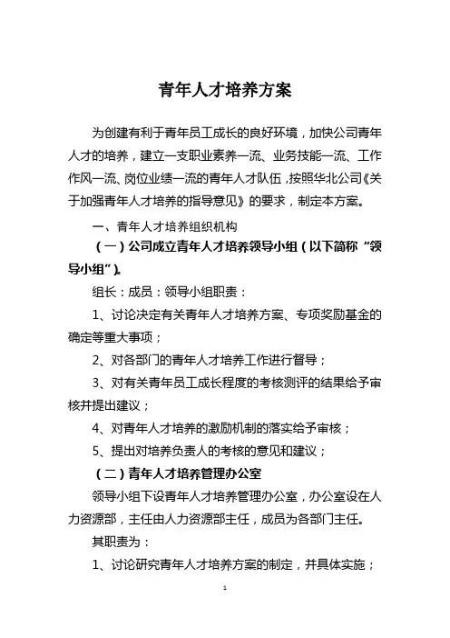 (完整版)青年人才培养方案