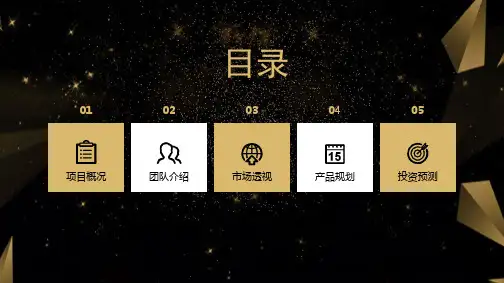 高端黑金产品发布工作总结会议报告企业介绍教育培训PPT模板