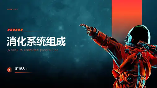 《消化系统组成》课件