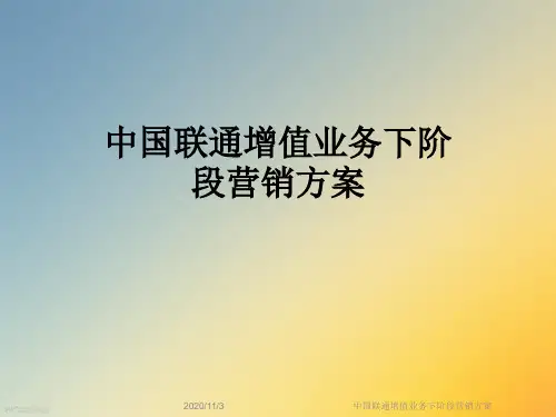 中国联通增值业务下阶段营销方案