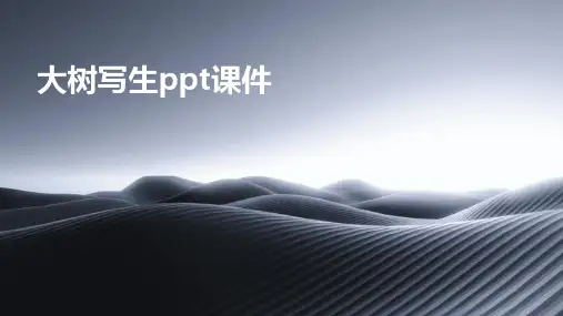 大树写生ppt课件
