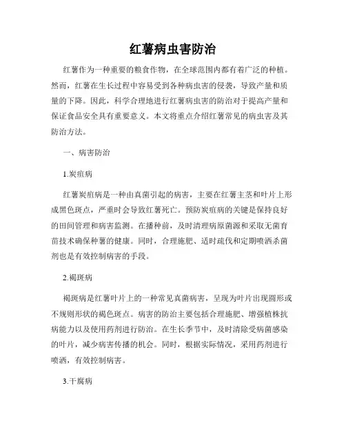 红薯病虫害防治