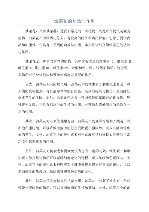 油菜花的功效与作用
