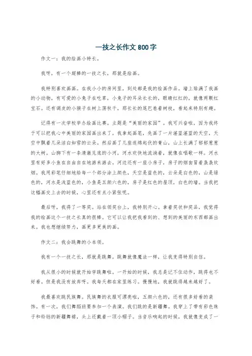 一技之长作文800字