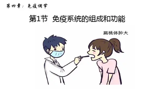 免疫系统的组成和功能ppt课件