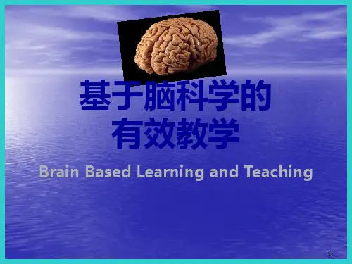 基于脑科学的有效教学PPT课件