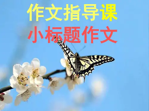 小标题作文课件