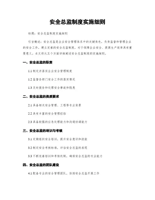 安全总监制度实施细则
