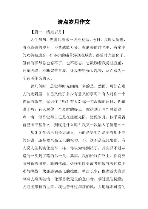 清点岁月作文