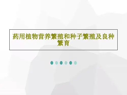 药用植物营养繁殖和种子繁殖及良种繁育共33页PPT