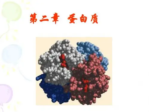 生物化学蛋白质