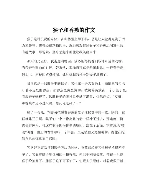 猴子和香蕉的作文