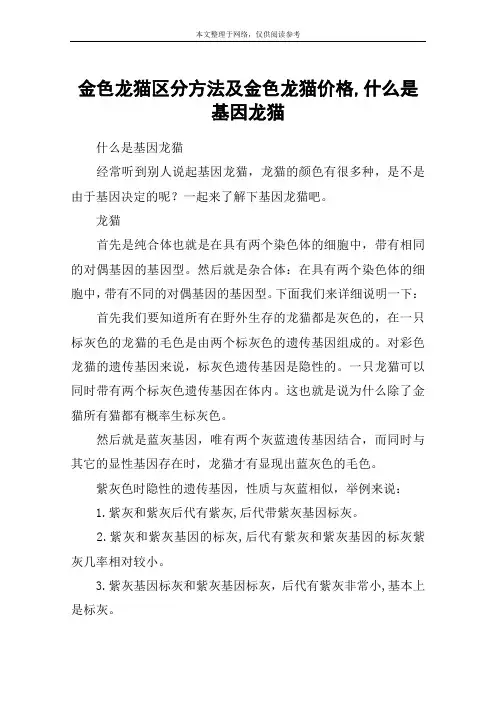金色龙猫区分方法及金色龙猫价格,什么是基因龙猫