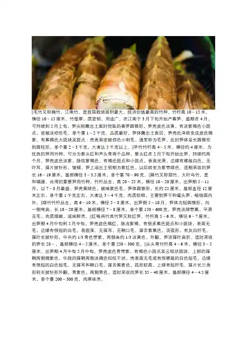 竹笋的种类及名称