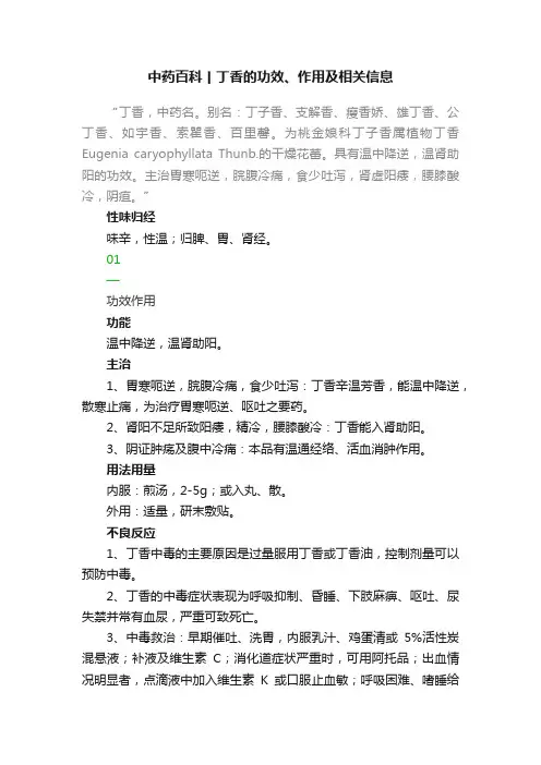 中药百科丨丁香的功效、作用及相关信息