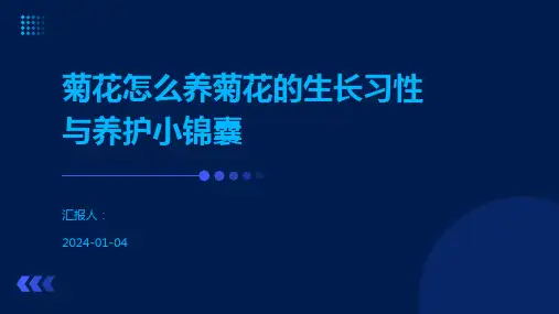 菊花怎么养菊花的生长习性与养护小锦囊