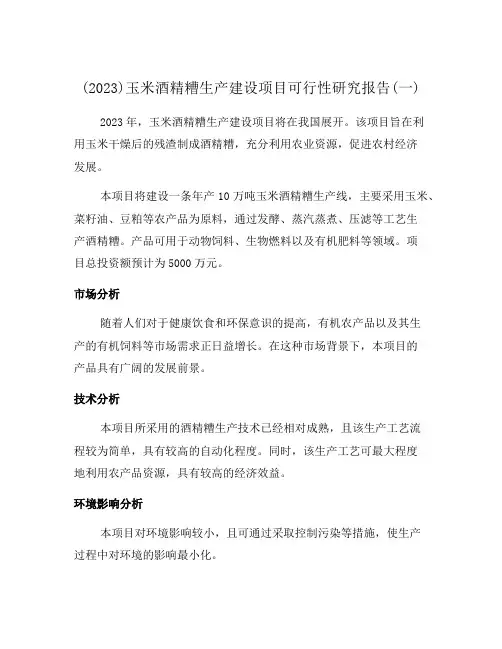 (2023)玉米酒精糟生产建设项目可行性研究报告(一)
