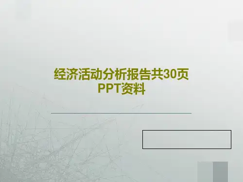 经济活动分析报告共30页PPT资料32页PPT
