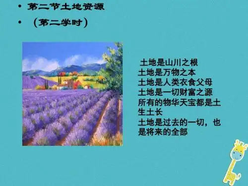 中国的自然资源(人教版)PPT课件4