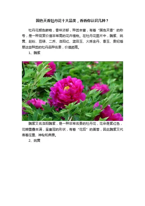 国色天香牡丹花十大品类，看看你认识几种？