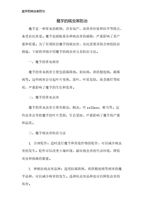 魔芋的病虫害防治