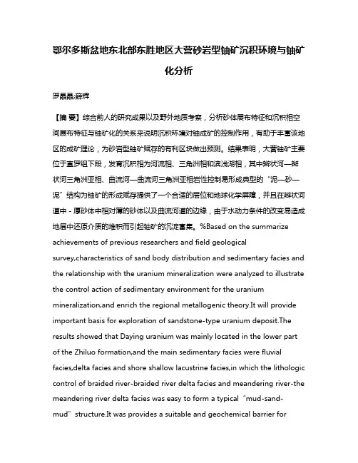 鄂尔多斯盆地东北部东胜地区大营砂岩型铀矿沉积环境与铀矿化分析
