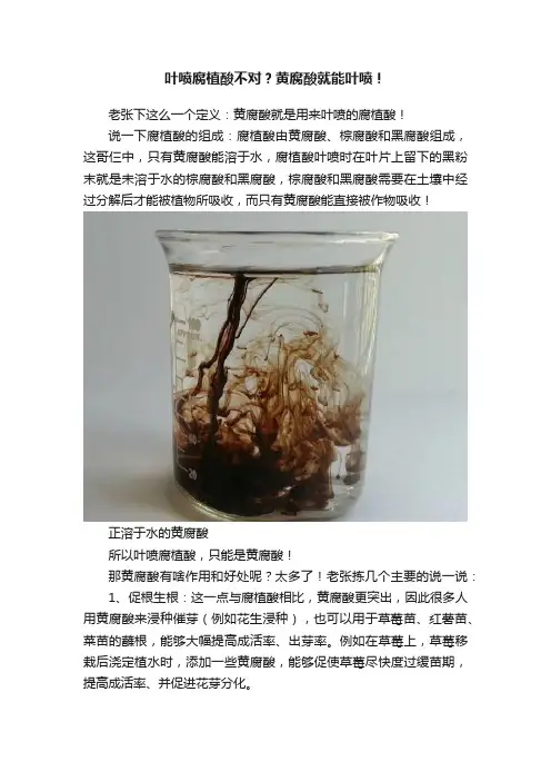 叶喷腐植酸不对？黄腐酸就能叶喷！