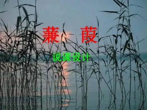 蒹葭PPT1(说课) 语文版 (共24张PPT)
