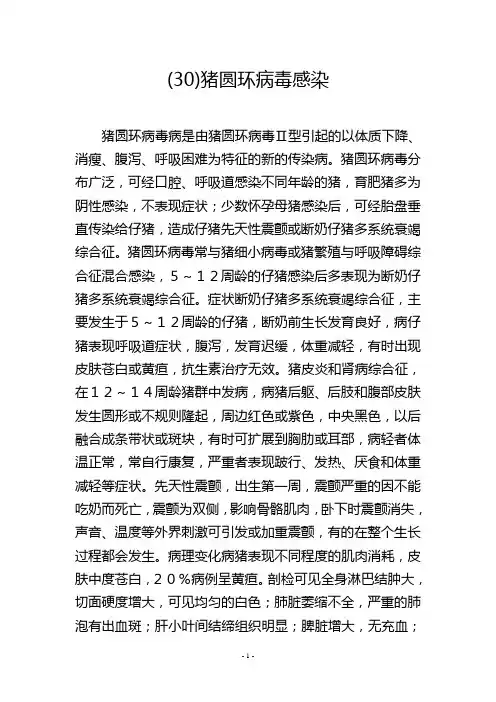 (30)猪圆环病毒感染