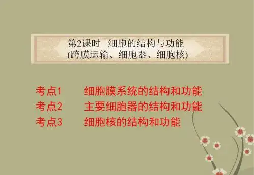 高中生物 专题1 第2课时 细胞的结构与功能(跨膜运输、细胞器、细胞核)课件