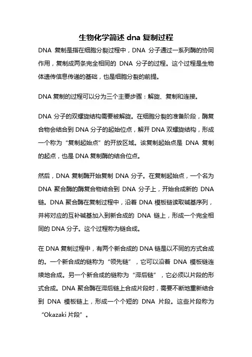 生物化学简述dna复制过程