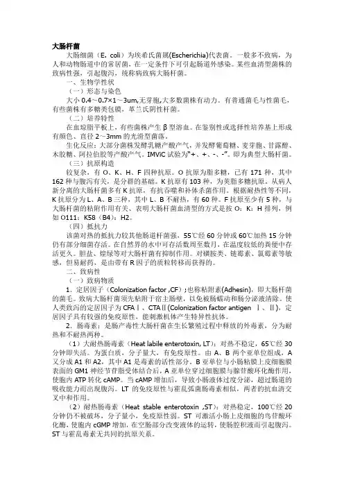 大肠杆菌与沙门氏菌