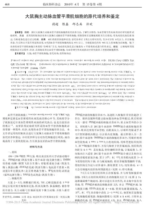 大鼠胸主动脉血管平滑肌细胞的原代培养和鉴定_段超