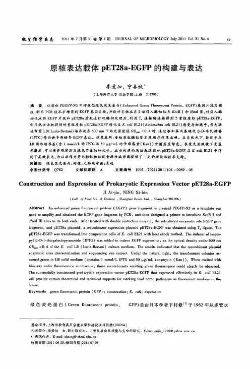 原核表达载体pET28a-EGFP的构建与表达