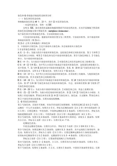 染色体G带制备详细流程及核型分析
