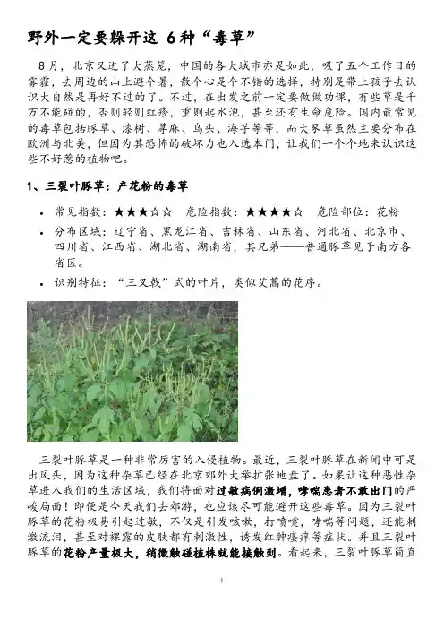 野外一定要躲开这 6种“毒草”汇总