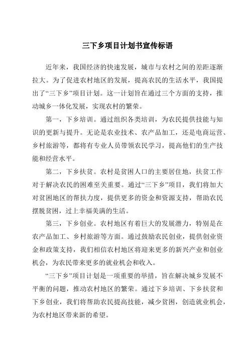三下乡项目计划书宣传标语