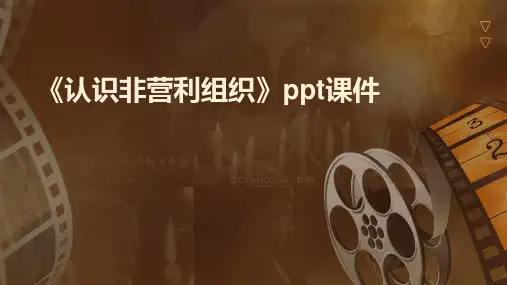 《认识非营利组织》课件