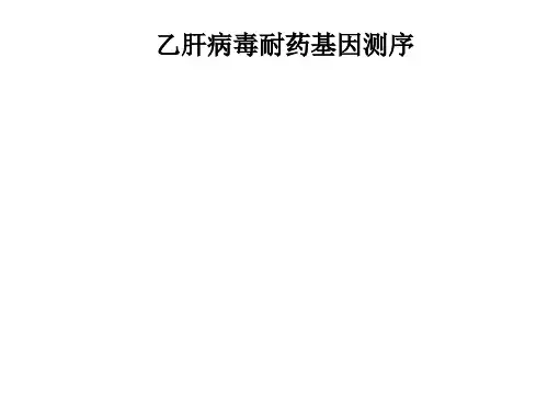 乙肝病毒耐药基因测序 PPT课件
