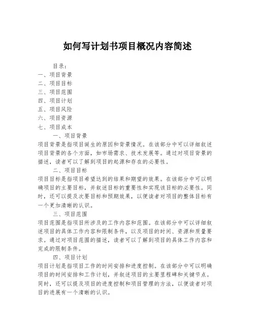 如何写计划书项目概况内容简述